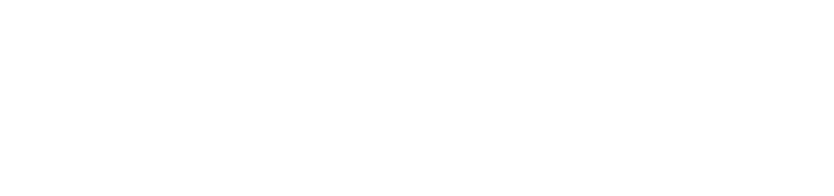directors education program logo